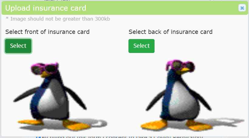7th slide